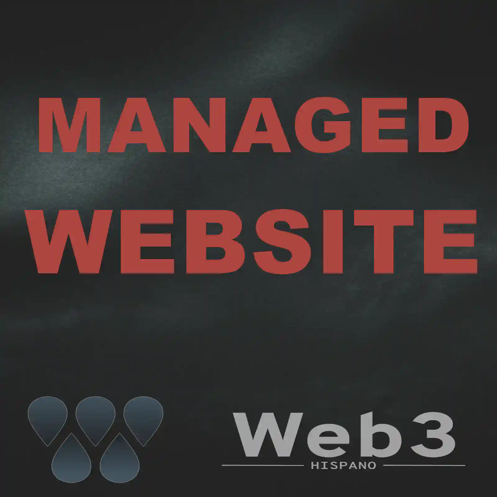 Managed Website